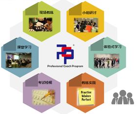 想成為企業(yè)青睞的教練？這門網(wǎng)絡(luò)技術(shù)認(rèn)證課不容錯(cuò)過